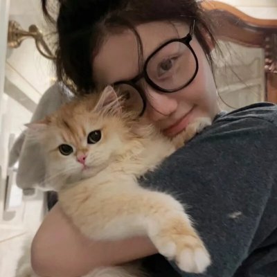 猫狗大战3：爪爪集结！